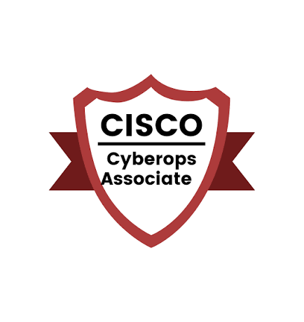 CCNA: Introduction to Networks