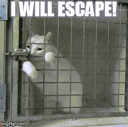 IMPOSSIBLE ESCAPE - CTF Writeup