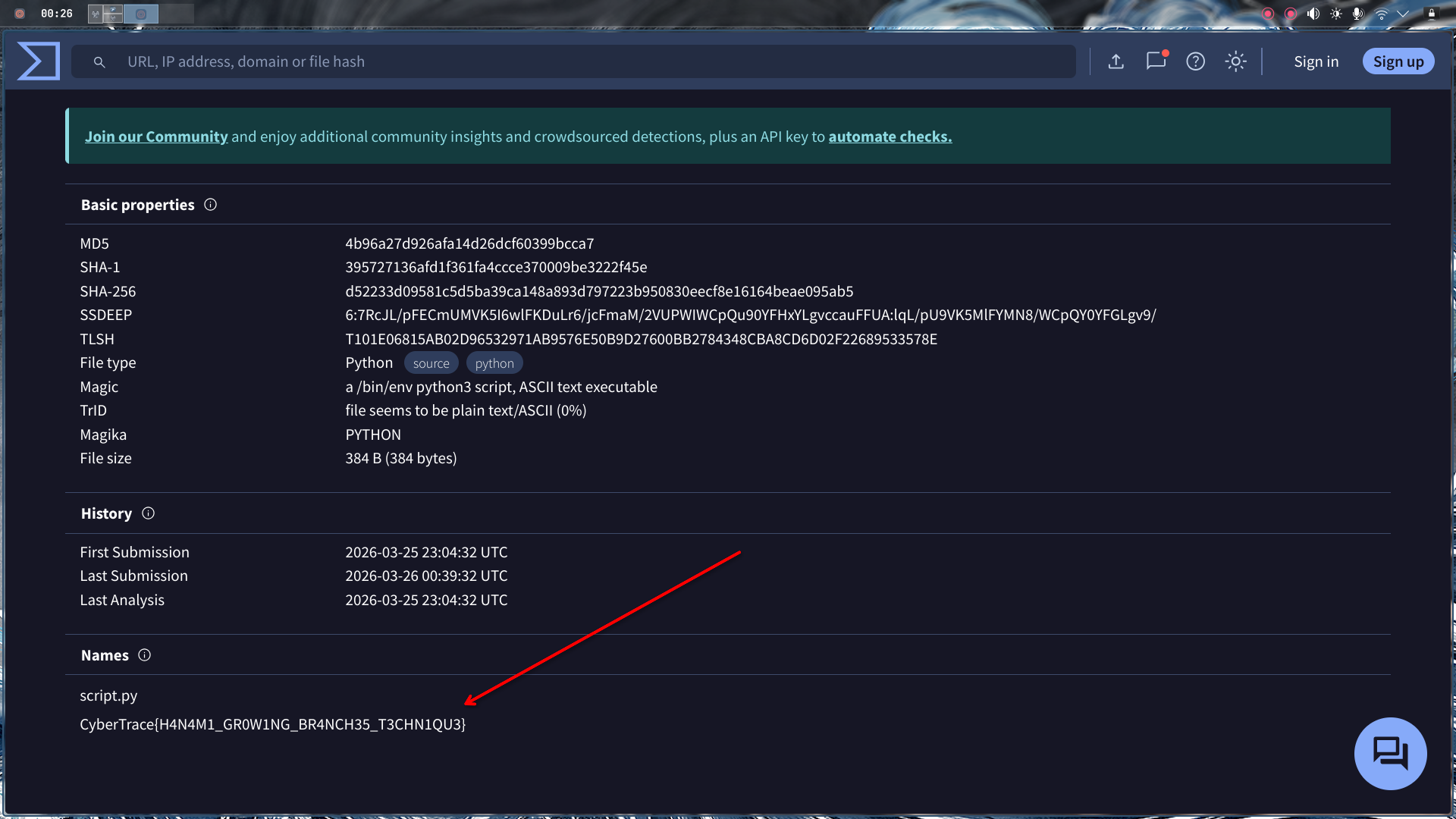 VirusTotal Details tab showing the flag