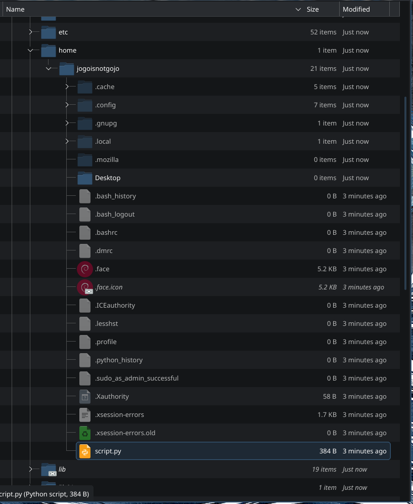 Home directory with script.py highlighted