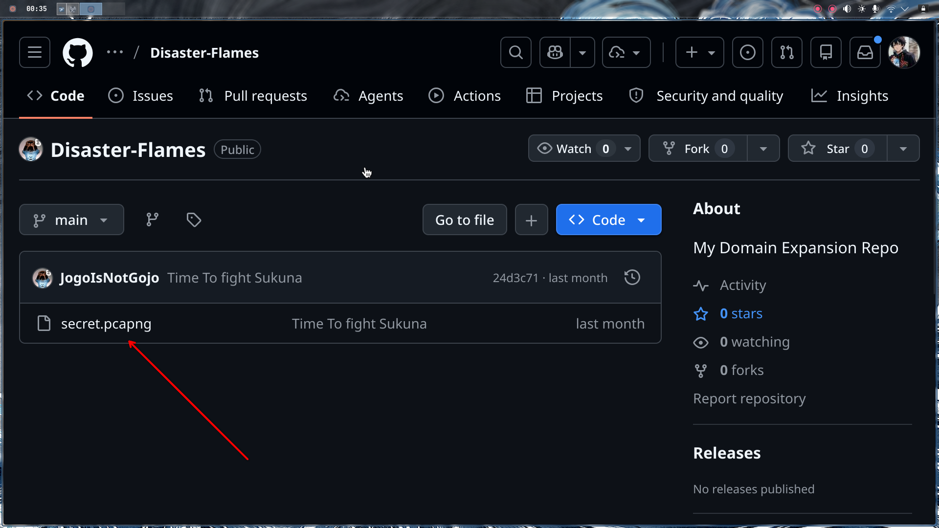 disaster flames repo